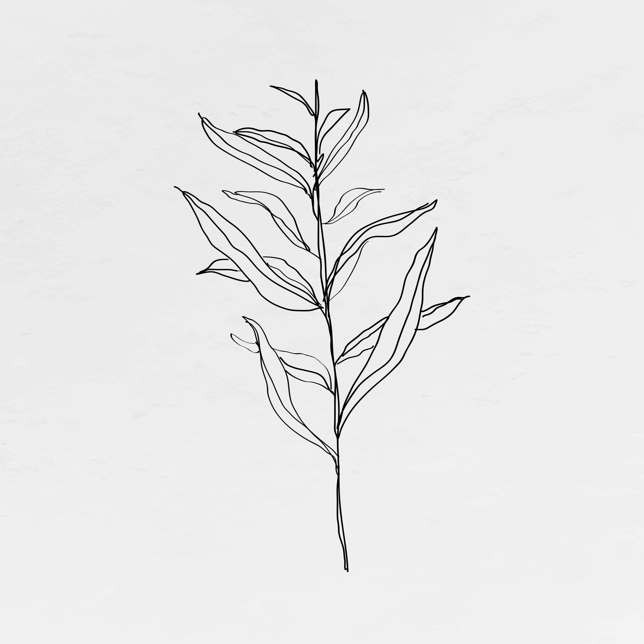 Leaf line art minimal black illustration